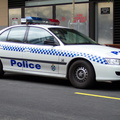 APC1212848194