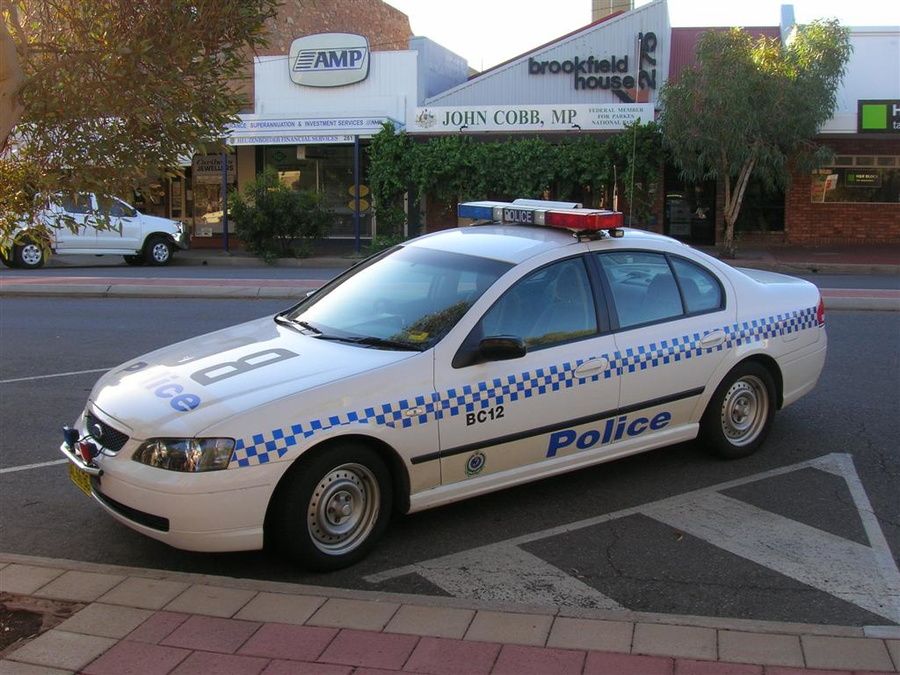 APC1738274688.jpg