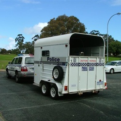 Mounted Section
