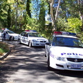 APC0437717184
