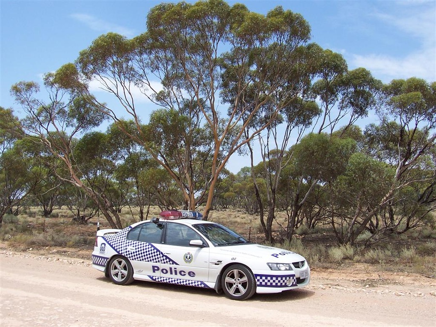APC0784814413