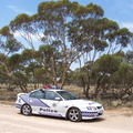 APC0784814413
