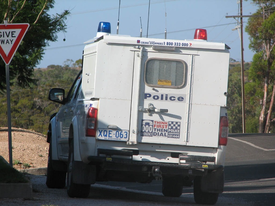 APC1294460198