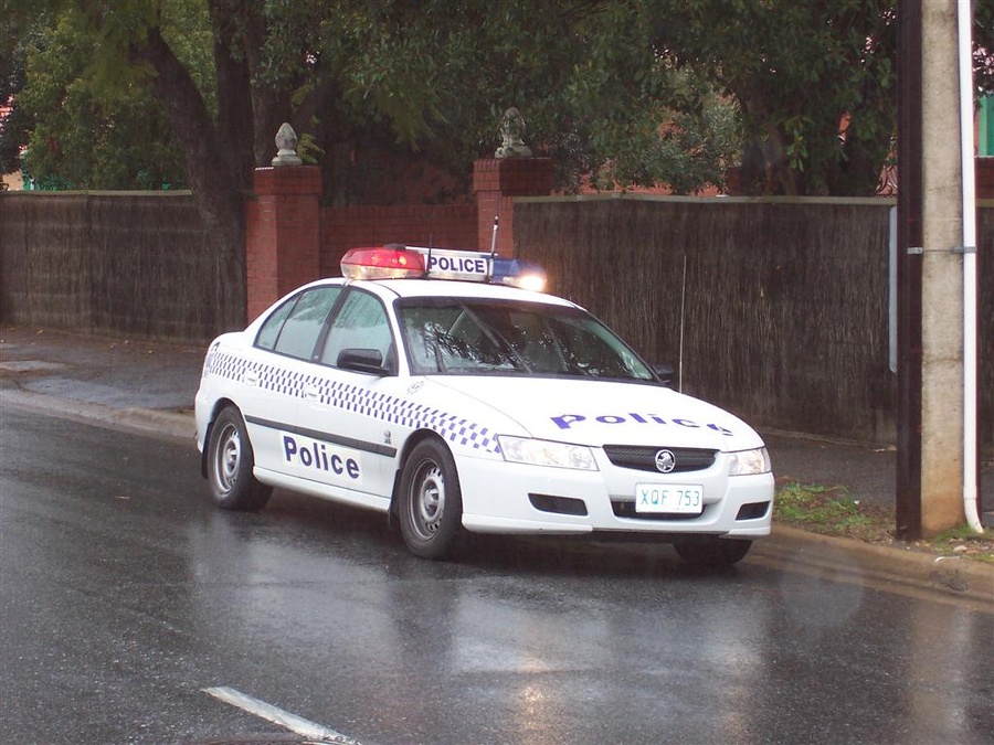 APC1562351015