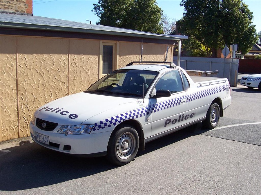 APC2430484531
