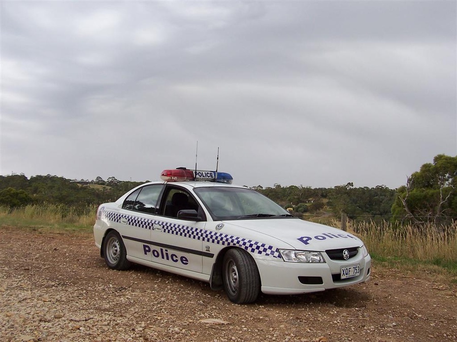 APC3768504375.jpg