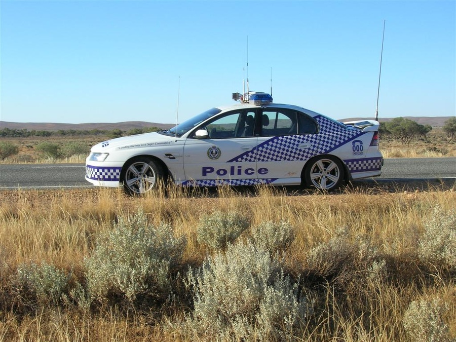APC3932282919.jpg