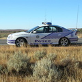 APC3932282919