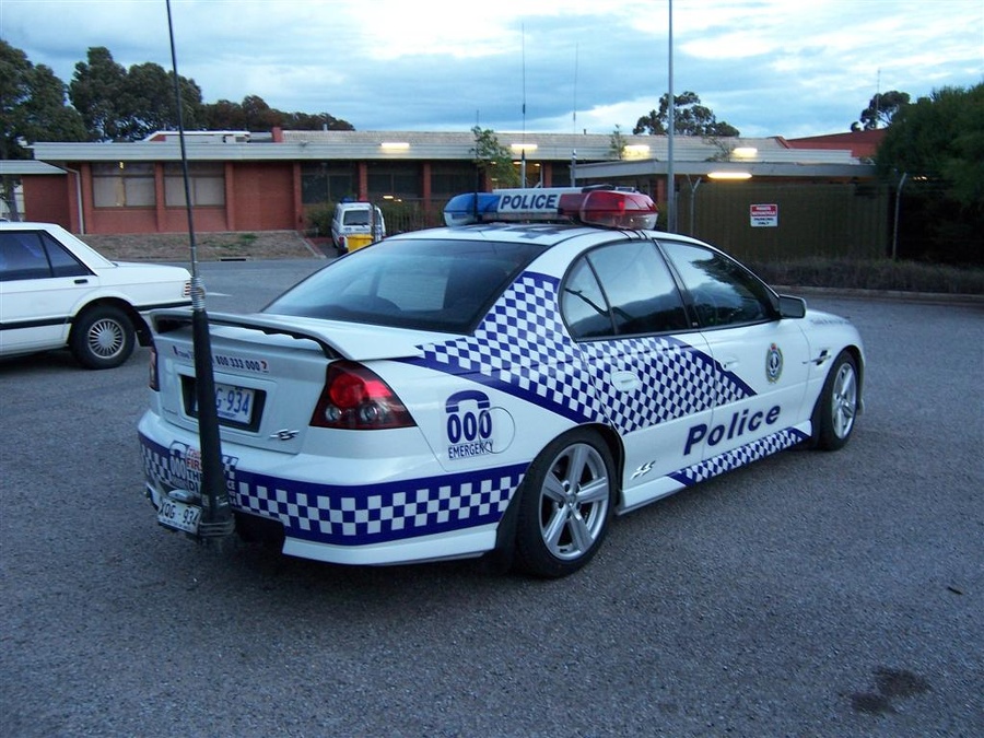 APC4115551200.jpg