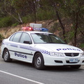 APC4278155262