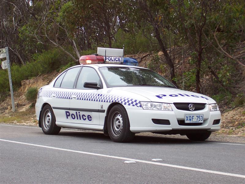 APC0302819880.jpg