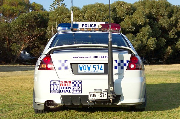 APC0981953870.jpg