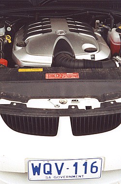 APC1907505110.jpg