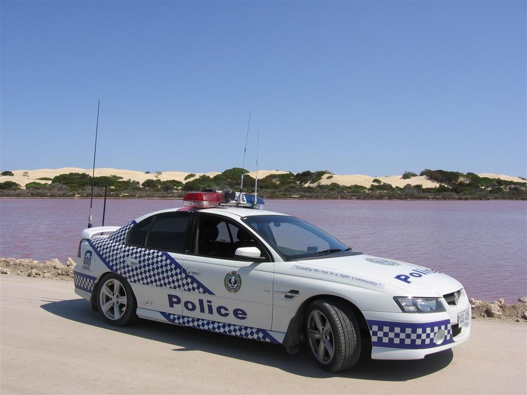APC3369262516