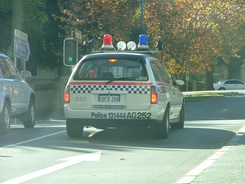 APC3909388054.jpg