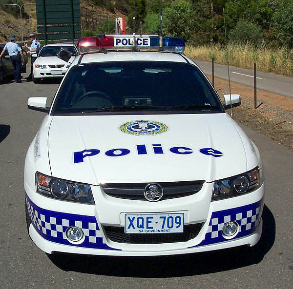 APC4201546822.jpg
